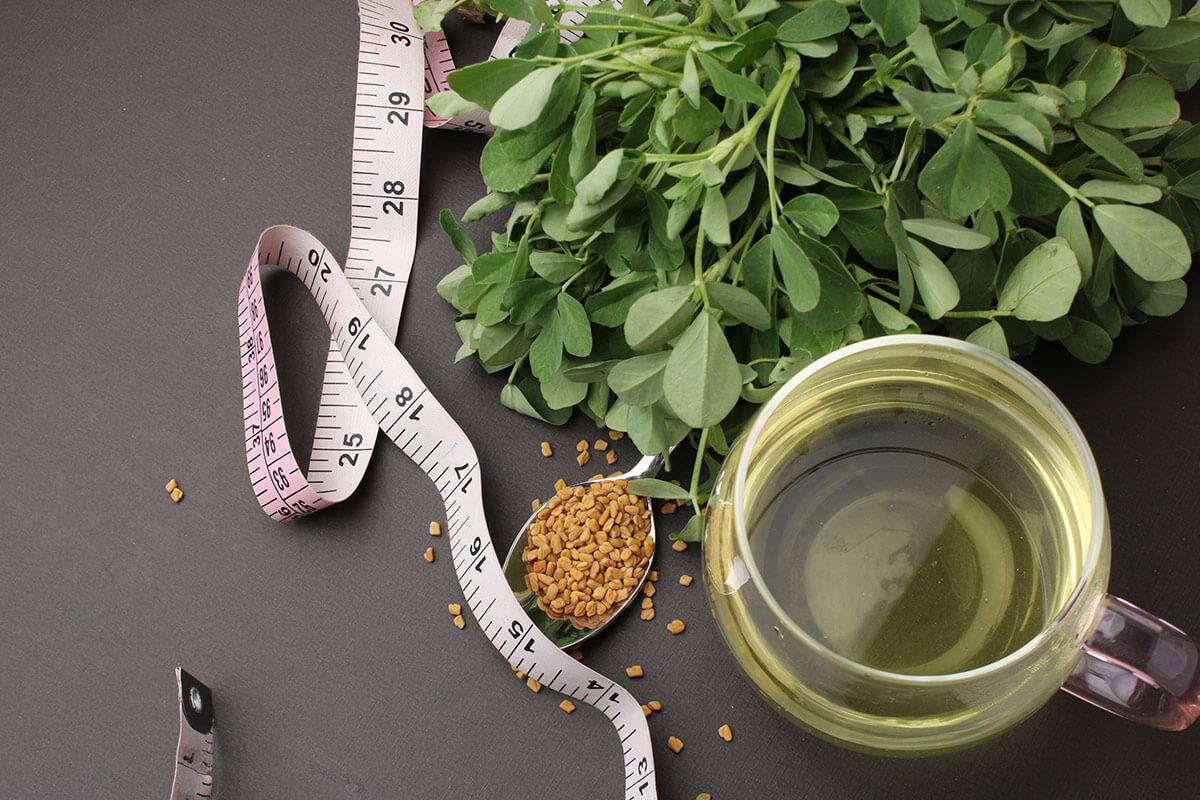 kozieradka odchudzanie