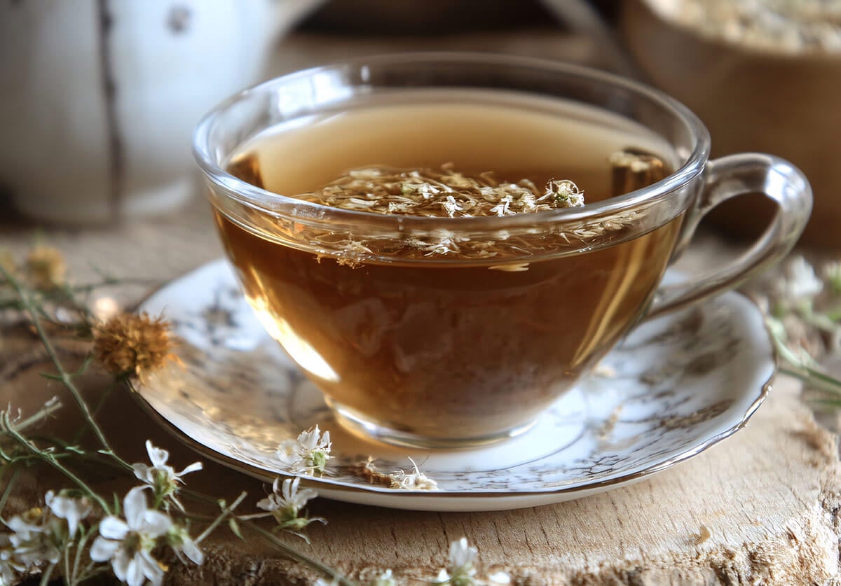 przytulia czepna napar