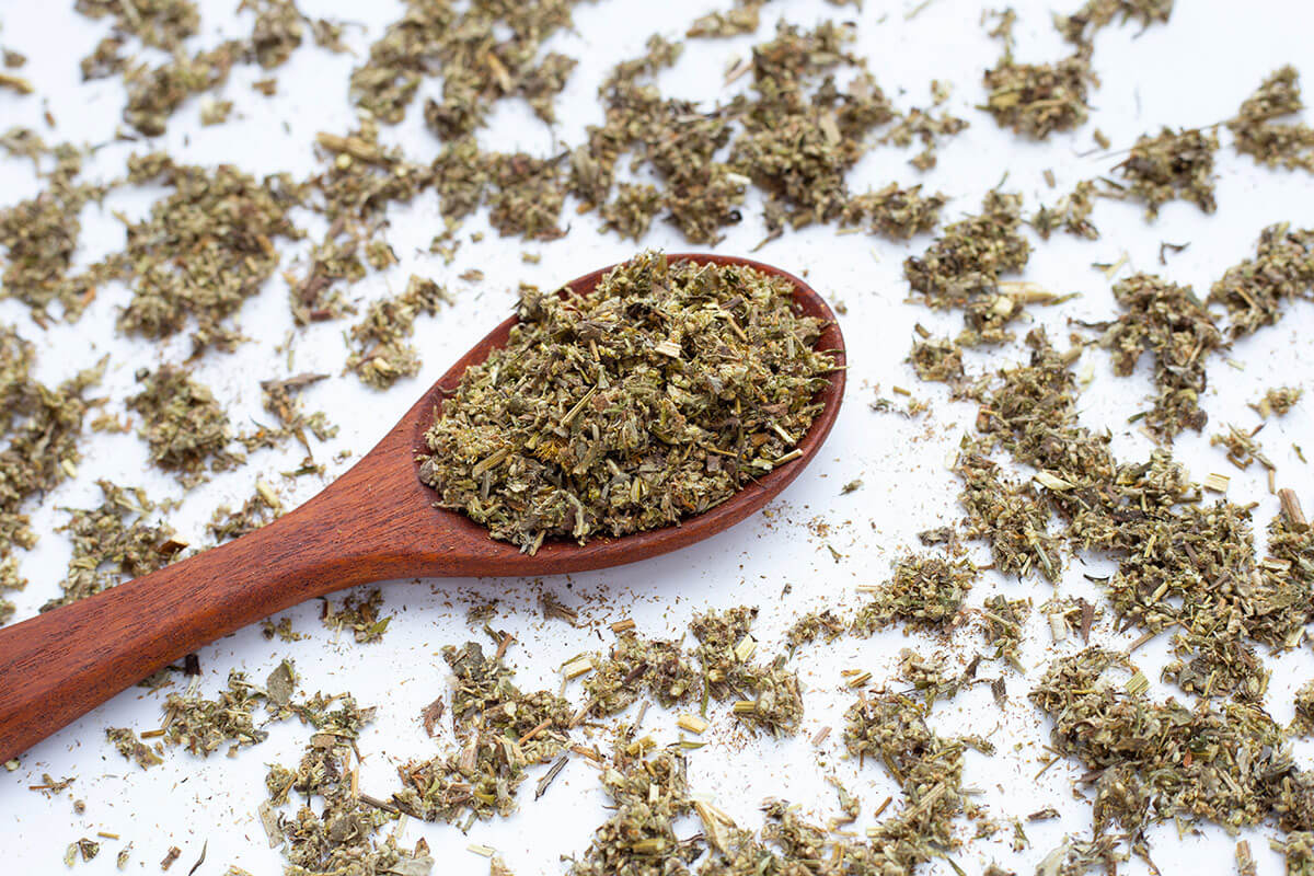 bylica roczna suszona