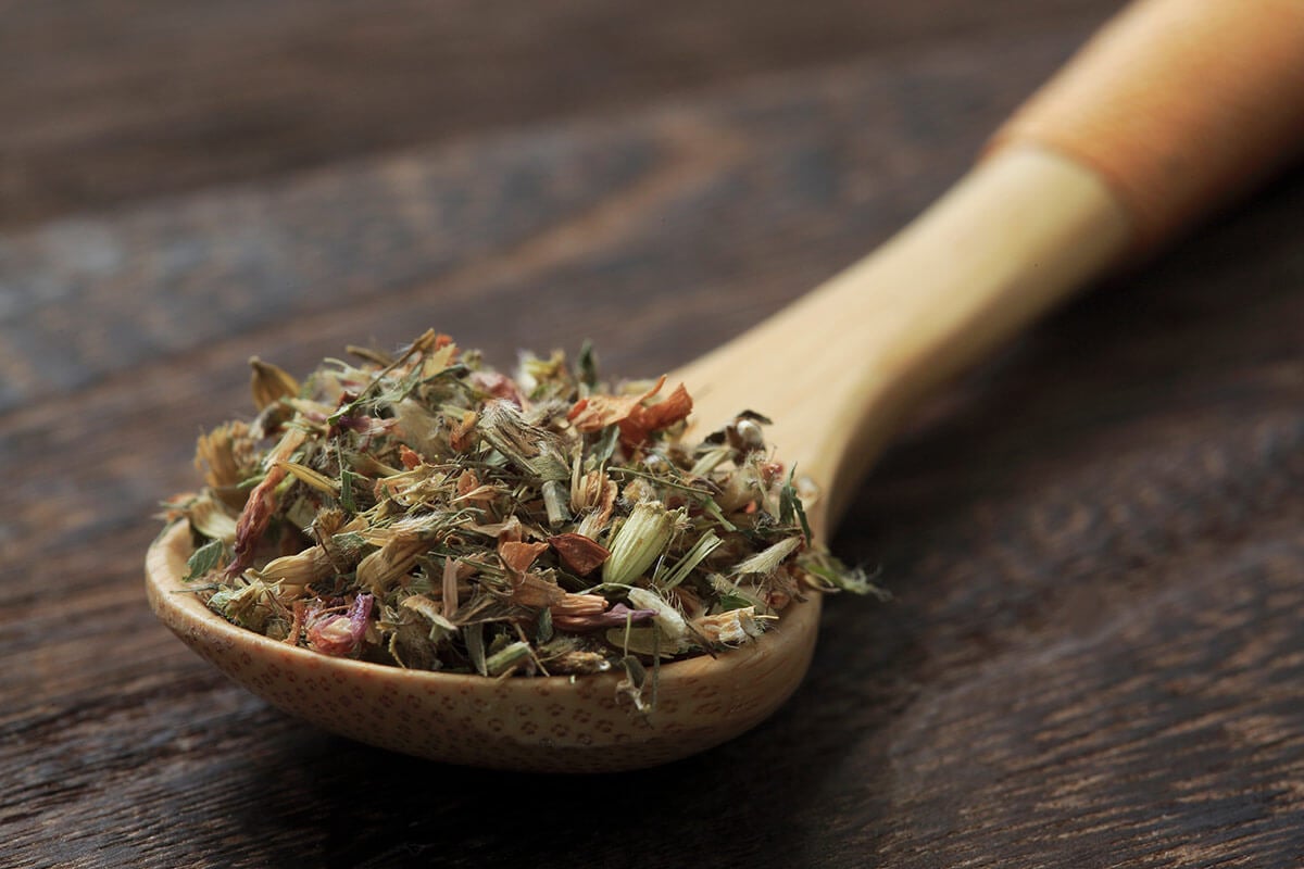 suszona czerwona koniczyna 