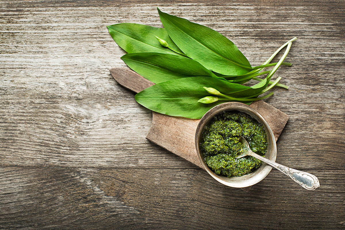 czosnek niedźwiedzi 