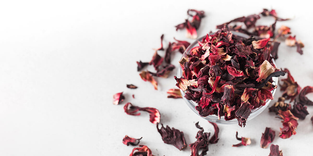 hibiskus suszone kwiaty