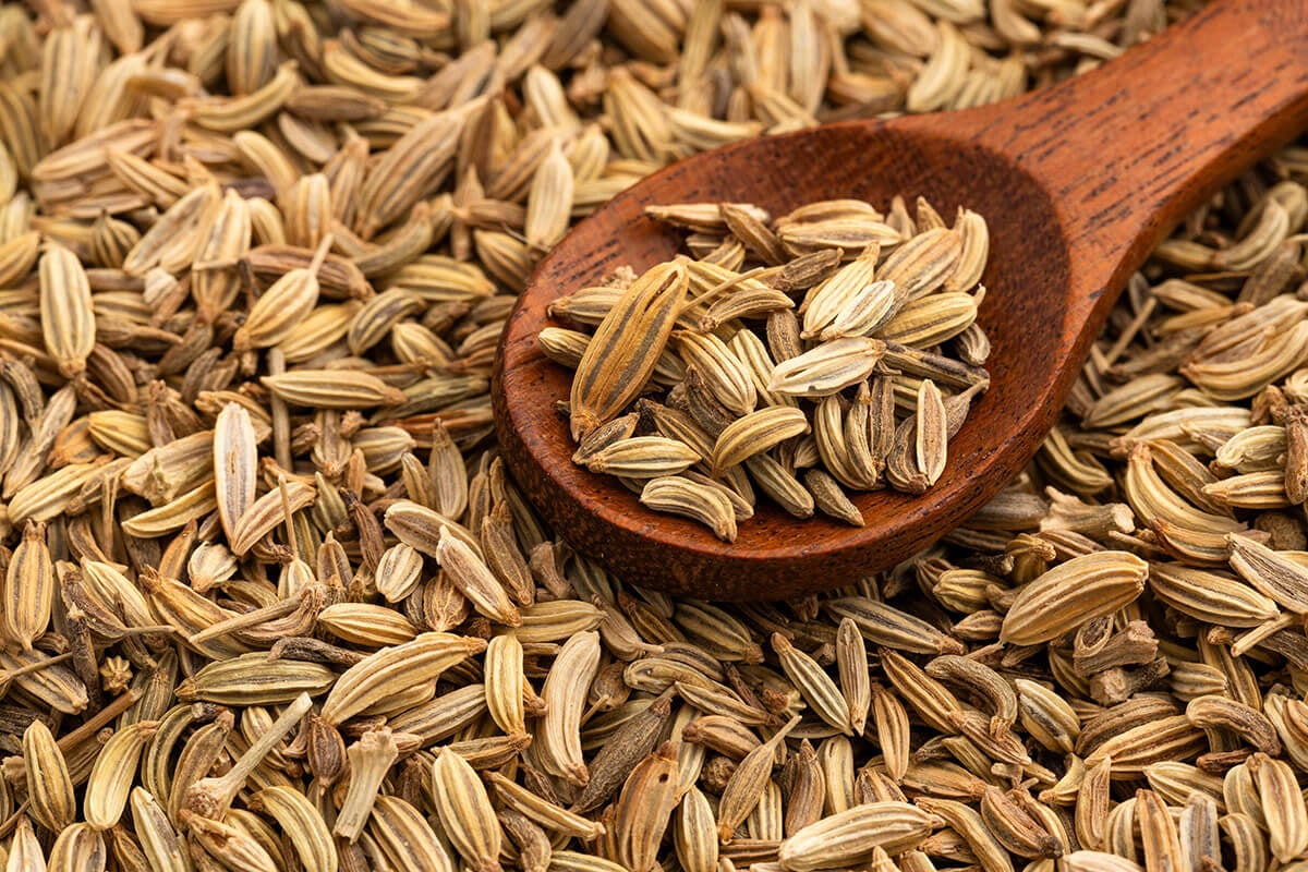 koper włoski nasiona 