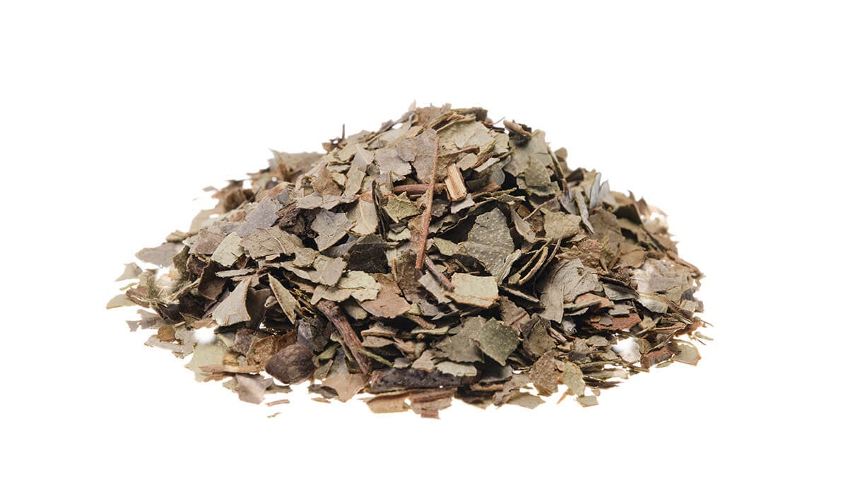 liście boldo suszone