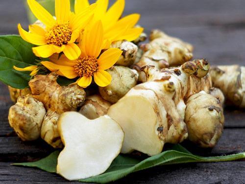 Topinambur - na co pomaga słonecznik bulwiasty?