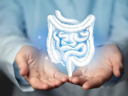 Czy stan jelit wpływ na odporność?