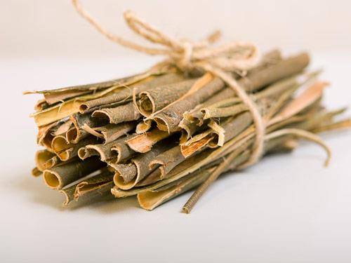 Kora wierzby białej - co to jest? Właściwości, działanie