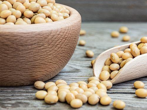 Lecytyna sojowa (E322) - co to jest? Właściwości, zastosowanie