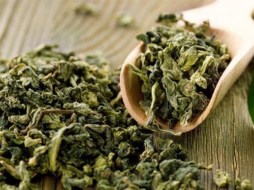 Zielona herbata – właściwości, działanie i suplementacja