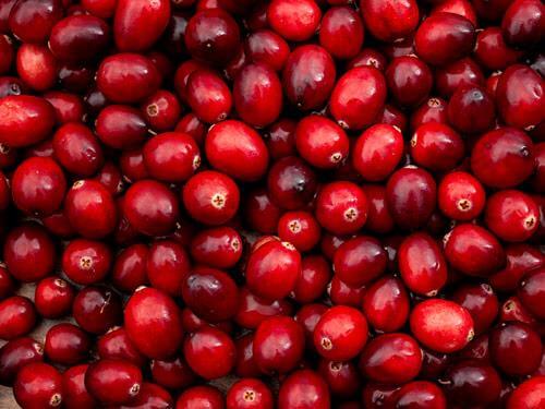 Żurawina - składnik diety zawierający polifenole i antocyjany