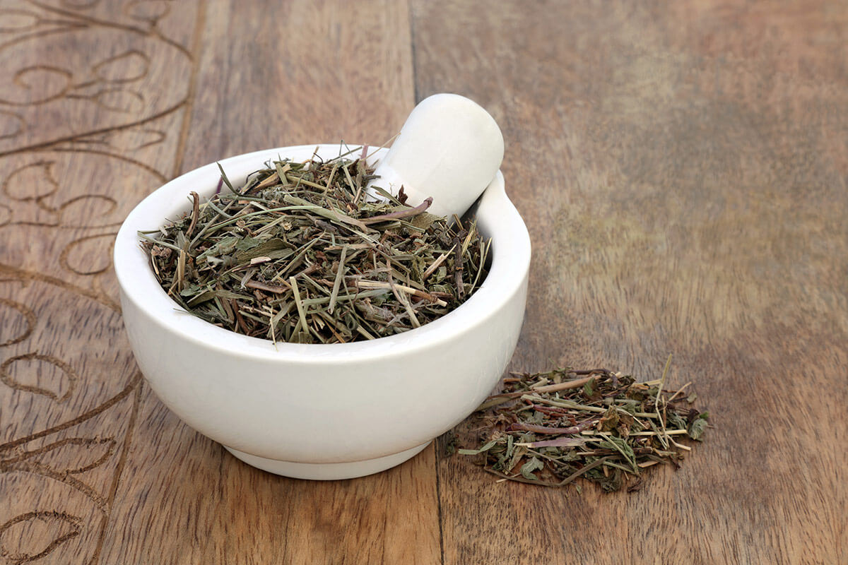 przetacznik leśny suszony