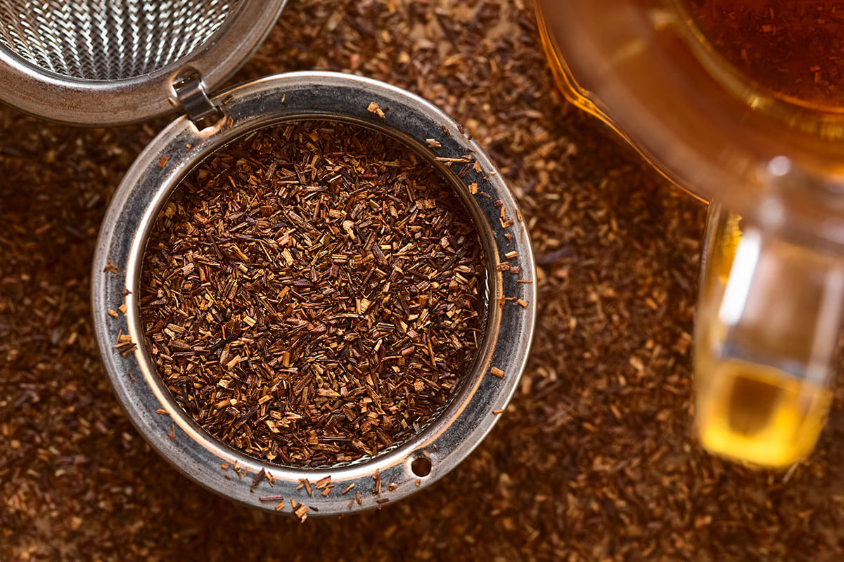 rooibos suszone