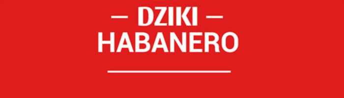 Kliknij aby powiększyć