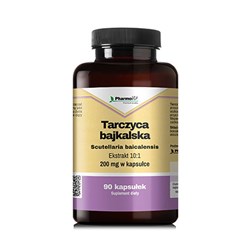 Tarczyca bajkalska Scutellaria baicalensis