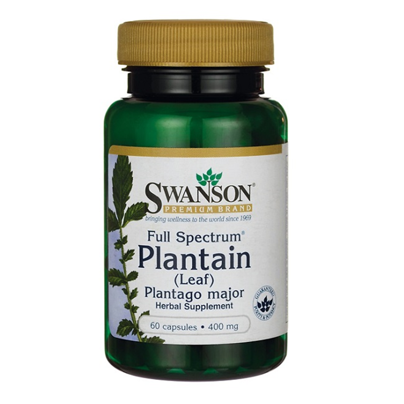 Swanson Full Spectrum Plantain (Leaf) Plantago Major