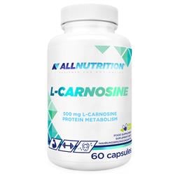 L-Karnozyna (L-Carnosine)