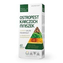 Ostropest Karczoch Mniszek