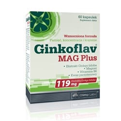 Ginkoflav MAG Plus