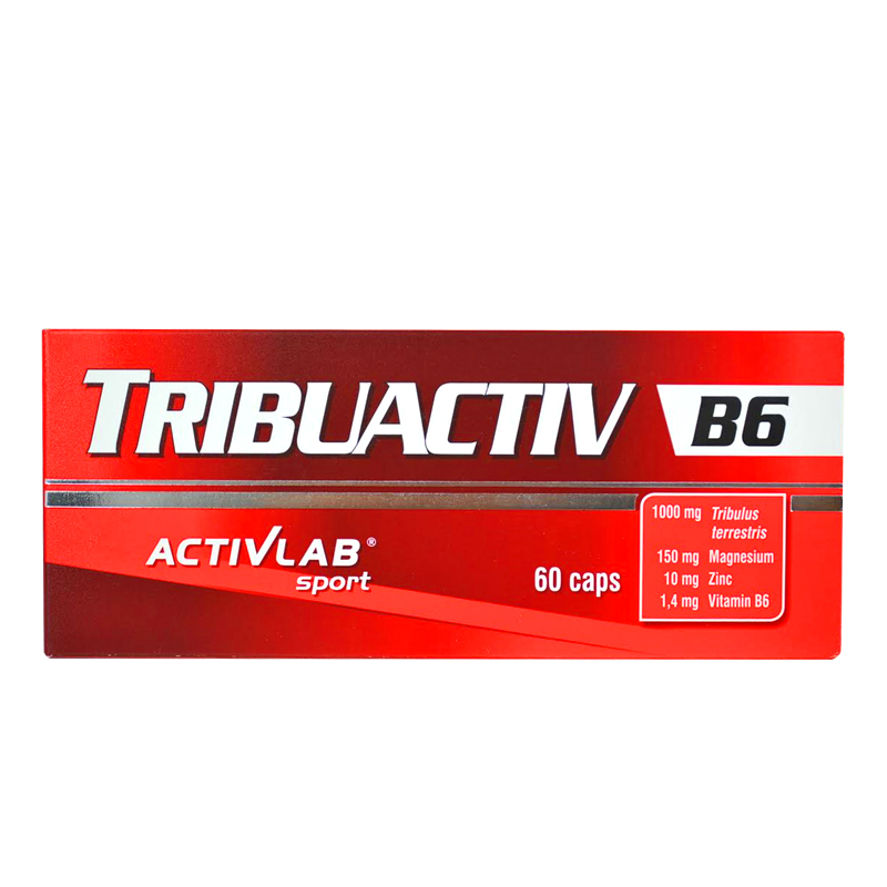 ActivLab Tribuactive B6