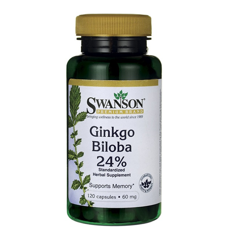 Swanson Ginkgo Biloba Extract 24%