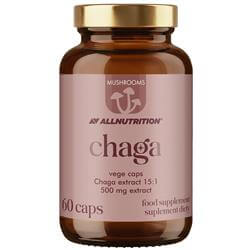 Mushrooms Chaga