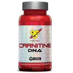 Carnitine DNA