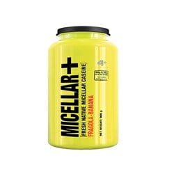 Micellar Casein