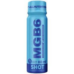 24 x MGB6 SHOT 80 ml