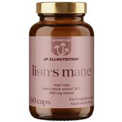 Mushrooms Lion's Mane (Soplówka jeżowata)