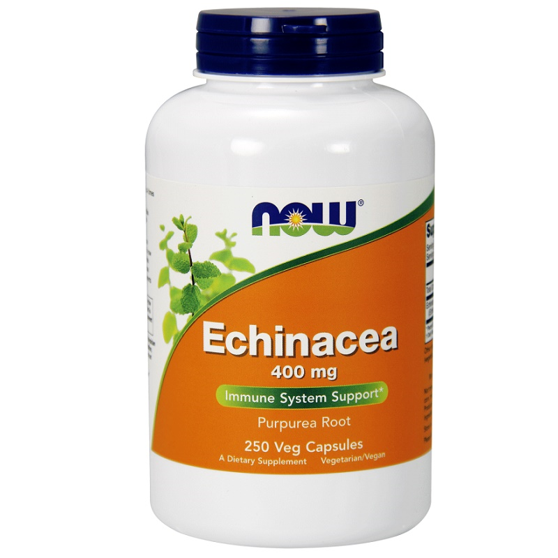 Now Echinacea