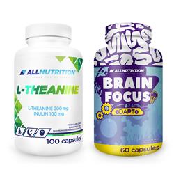 BRAIN FOCUS 60 kaps + L-THEANINE 100 kaps