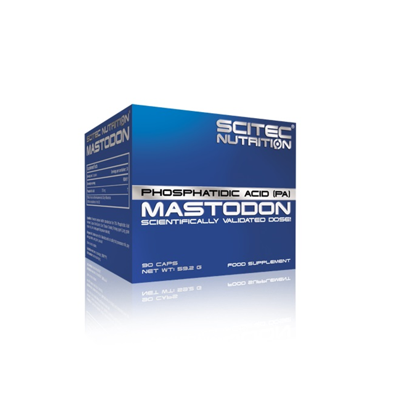 Scitec nutrition Mastodon